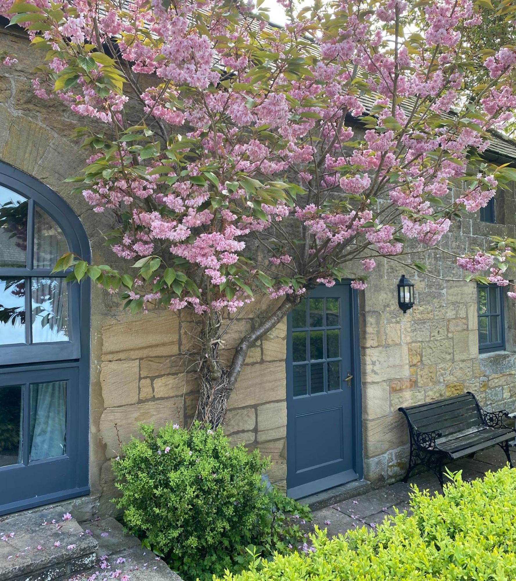 Homestay Shieldhall - Cherry Nook *